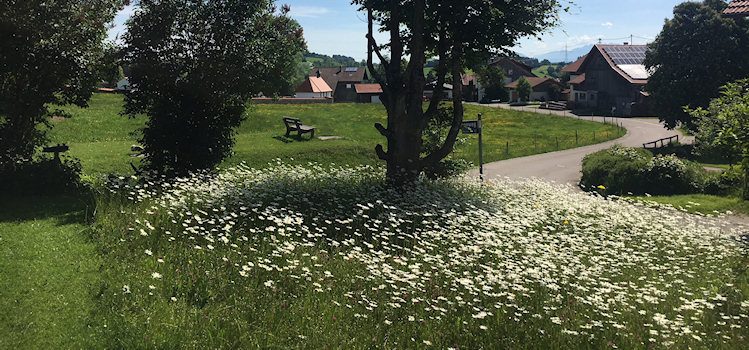 Ferienhaus Allgayer in Maria Rain im Allg&auml;u | Bayern, Schwaben